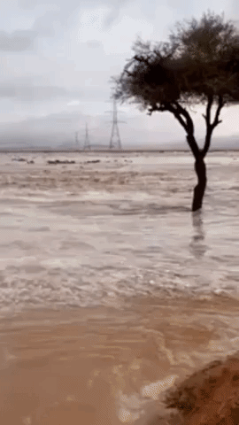 Heavy Rainfall Causes Fatal Floods in Saudi Arabia
