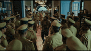 Kd GIF