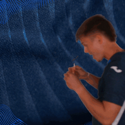 Sport Bundesliga GIF by TSG Hoffenheim