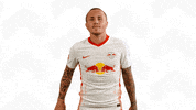 Oh Yeah Yes GIF by RB Leipzig