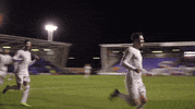 Ecfc GIF by Exeter City Football Club