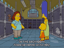 homer simpson broken image GIF
