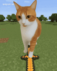 Cats Feels GIF by Darwin