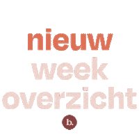 Nieuw Bib Sticker by Bibelotte
