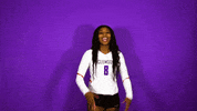 Clemsonvb Championshipbehavior GIF by Clemson Tigers