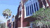 palm trees sun GIF by University of Florida
