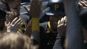 Excited Major League Baseball GIF by MLB