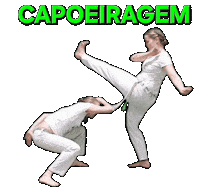 Sticker by capoeiraluebeckmli