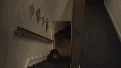 RadishSandwhich giphygifmaker halloween scary creepy GIF