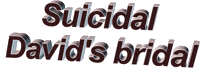 wedding lol Sticker by AnimatedText