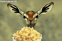 Deer Popcorn GIF