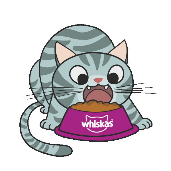 WhiskasBR cat gato wet dry Sticker
