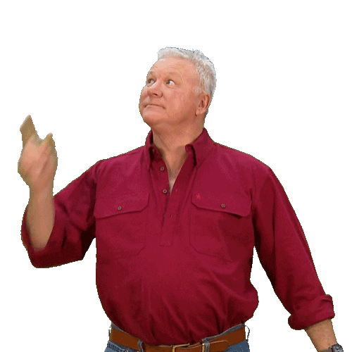 Renovate Channel 9 Sticker by The Block