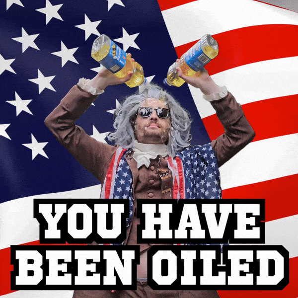 American Flag America GIF