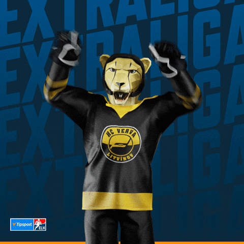 Hockey Hokej GIF by Tipsport extraliga