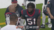 Houston Texans Football GIF by NFL