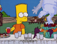 bart simpson ice GIF