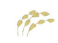 helloimnao wind grain wheat oats Sticker