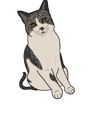 Vmd Sticker
