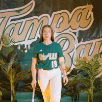 South Florida Horns Up GIF by USF Athletics