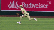 Snakes Mccartney GIF