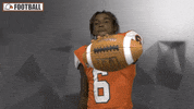 Cnfb GIF by Carson-Newman Athletics