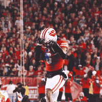 College Football GIF by Wisconsin Badgers