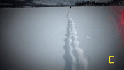 life below zero GIF by National Geographic Channel