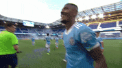 Major League Soccer Sport GIF by NYCFC