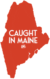 Lobster Claw Seafood Sticker by Get Maine Lobster