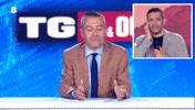 Tg GIF by Tv8it