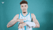 Hive Mentality Lamelo Ball GIF by Charlotte Hornets