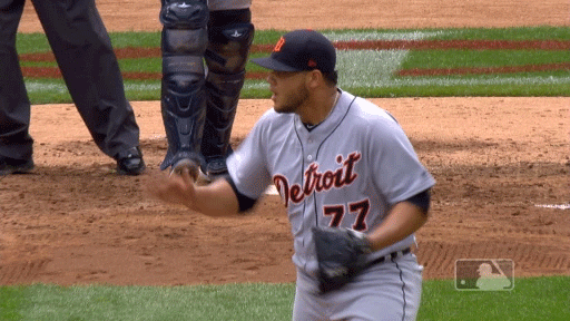 Major League Baseball Reaction GIF by Detroit Tigers
