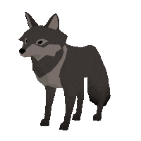 Black Wolf Sticker