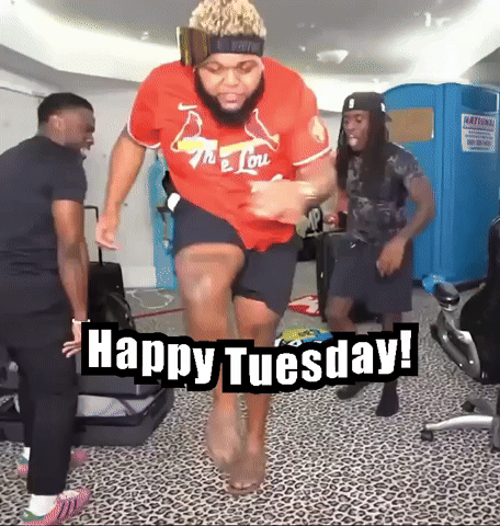 AlfieGraham00 meme giphycreatortest tuesday GIF