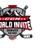 200x85 hockey ccm usa hockey youth hockey Sticker