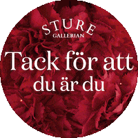 Valentinesday Sticker by Sturegallerian