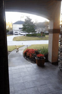 GIF by Mashable
