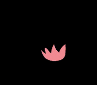 lilsunshine05 flower yoga grow bloom GIF