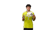 Mens Soccer Heart Sticker by Clarke University