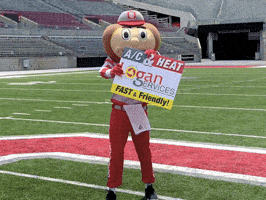 LoganServices osu buckeyes ohio state ohio state buckeyes GIF