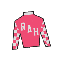 Horse Racing Sticker by Kentucky Derby