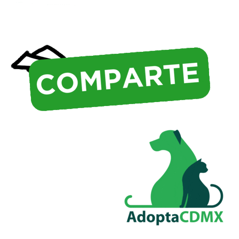 AdoptaCDMX giphyupload love cat dog Sticker