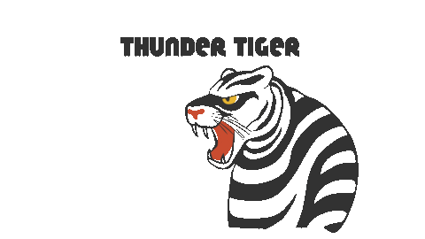 ThunderTigerMusic giphyupload sun cloud tiger Sticker