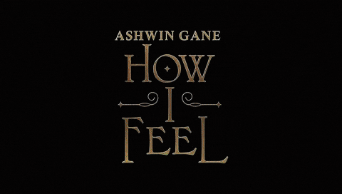 How I Feel Merry Christmas GIF by Ashwin Gane