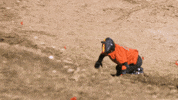 ctv amazing race tarc the amazing race canada #amazingracecanada GIF
