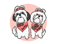 Shih Tzu Sticker