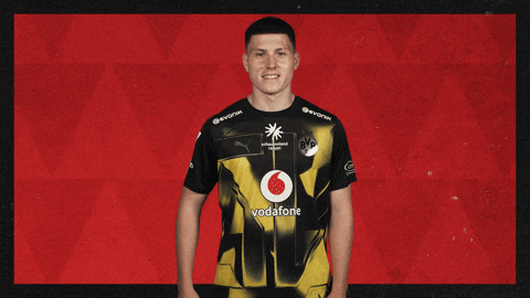 Borussia Dortmund Football GIF by Bundesliga