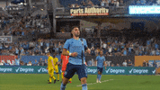 Major League Soccer Football GIF by NYCFC