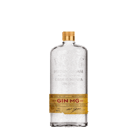 Ginebra Gin Mg Sticker by Gin MG